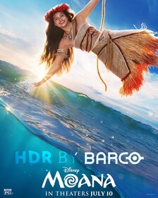 Постеры фильма «Моана» Даже финальный трейлер «Моаны» не может убедить в правильности парика на голове Дуэйна Джонсона